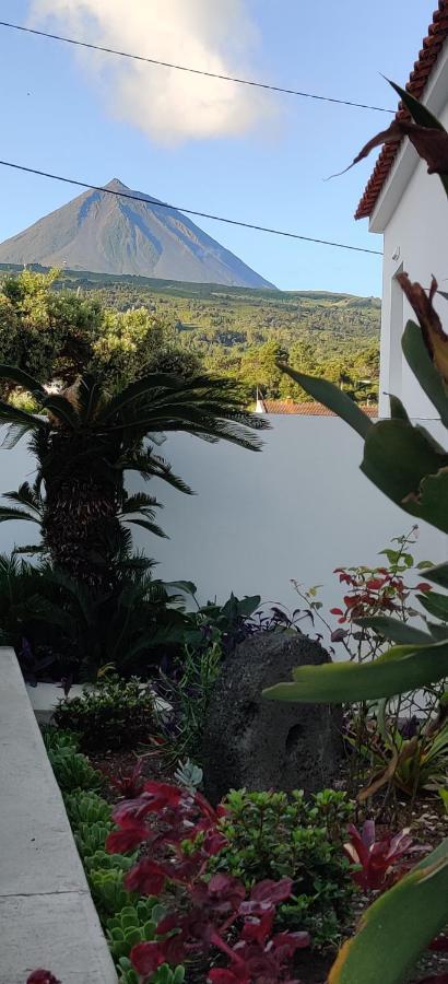 Casa Da Avo Biza Villa São Roque do Pico Eksteriør bilde